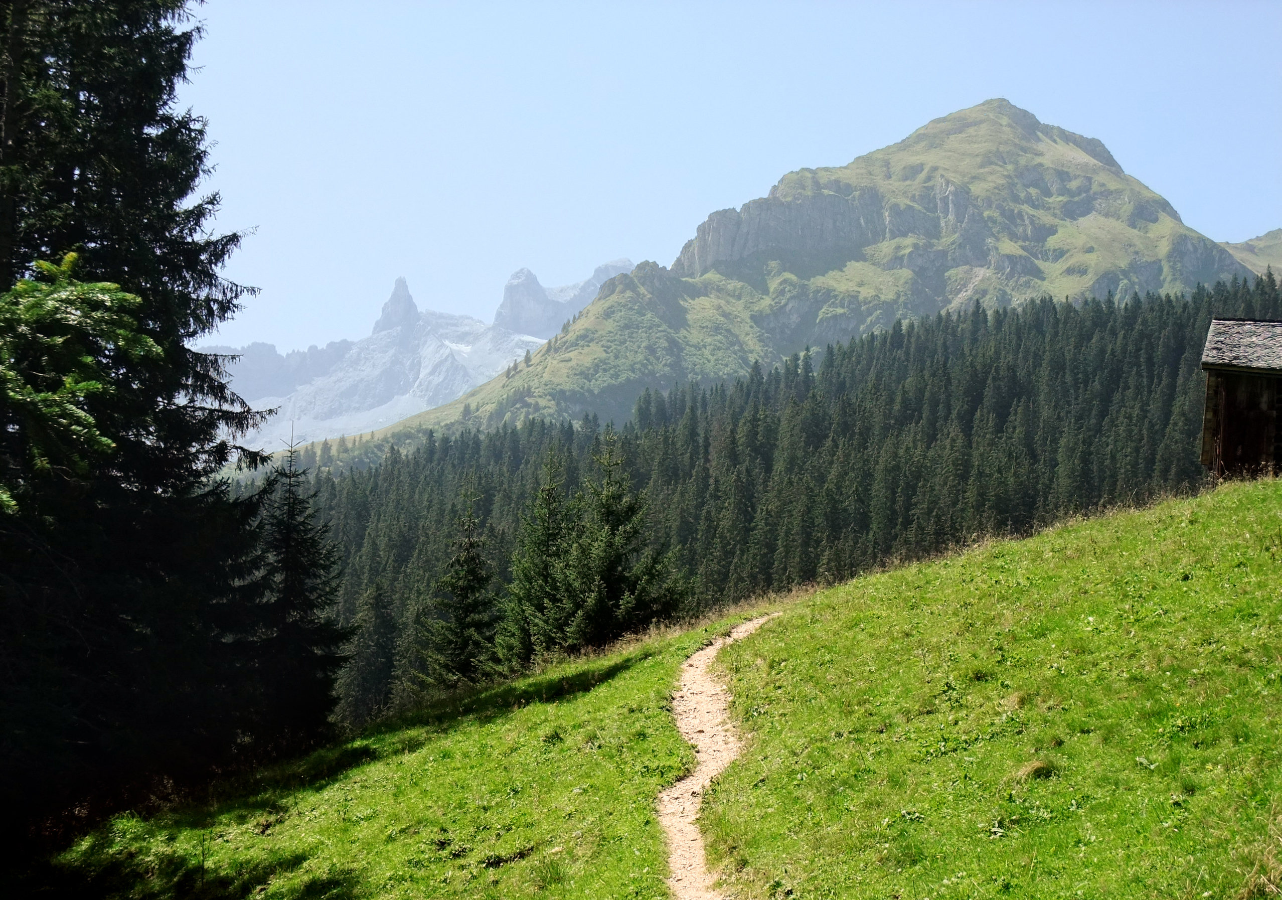 Sommerlicher Wanderweg im Montafon mit Blick auf die Geißspitze und die Drei Türme